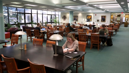 Students studying at the library 