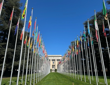 Row of international flags lining grassy walkway to building