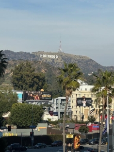 photograph of the Hollywood sign