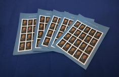 photograph of flyers